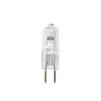 Light Bulb, 12 VAC 100 Watt